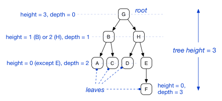 tree_anatomy